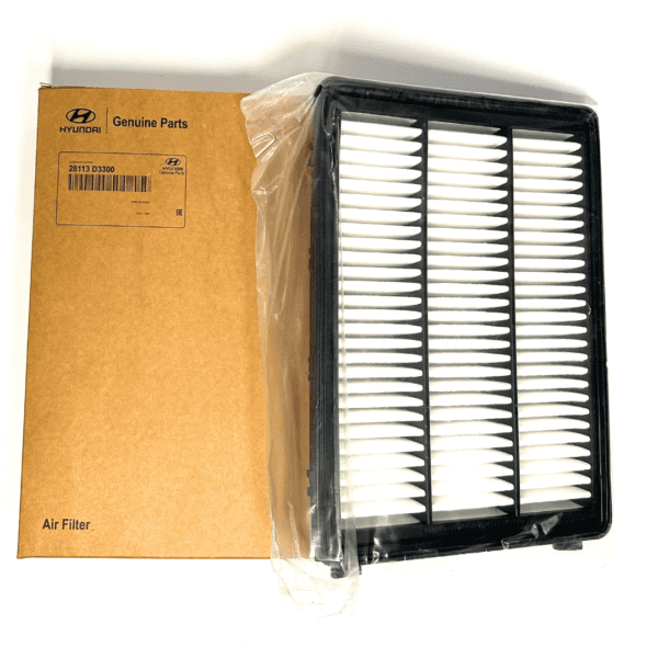 Tucson 2.0L Air Filter